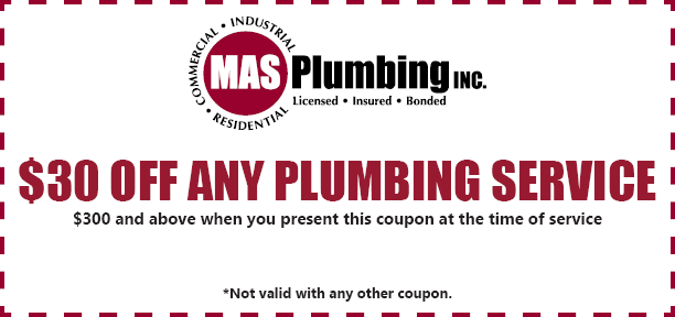 $30 off Any Plumbing Service Coupon